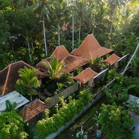 Jaya Villa Ubud Eksteriør billede