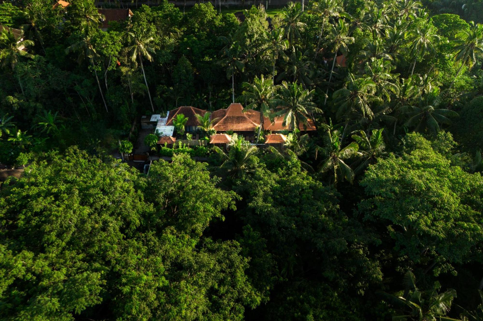 Jaya Villa Ubud Eksteriør billede